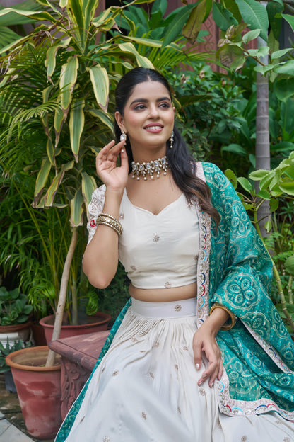 Royal Noor Luxe Tissue Silk Embroidered Lehenga Set