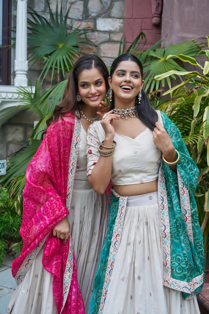 Royal Noor Luxe Tissue Silk Embroidered Lehenga Set