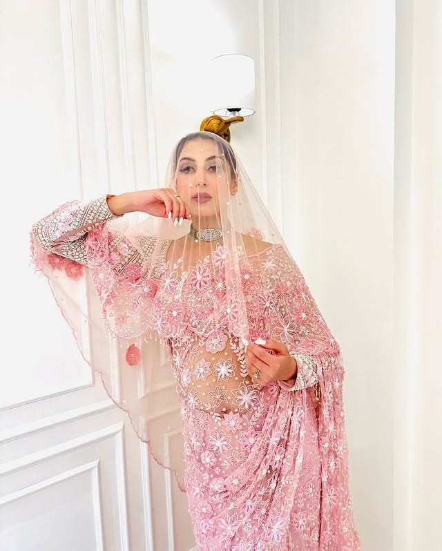 Blush Aura Embroidered Saree