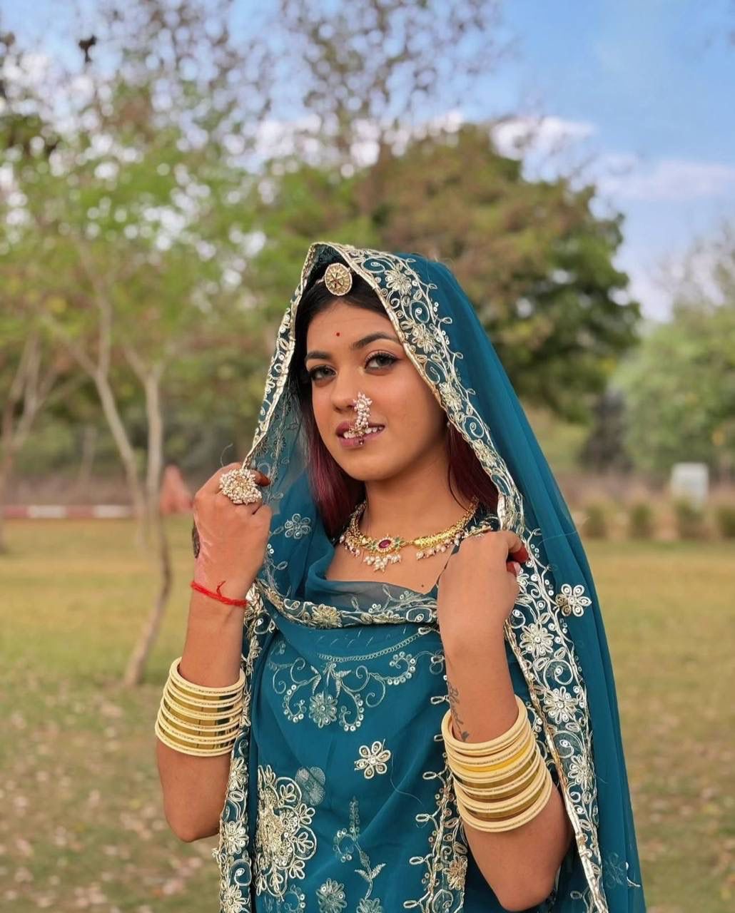 Darbari Poshak – Premium Embroidered Lehenga Choli Set