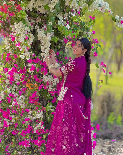 Darbari Poshak – Premium Embroidered Lehenga Choli Set